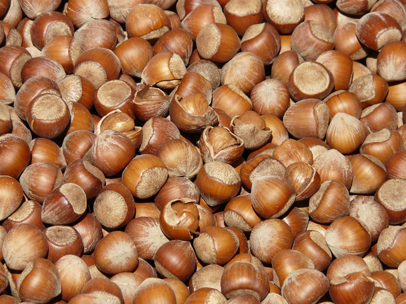 hazelnuts-73940_1280.jpg