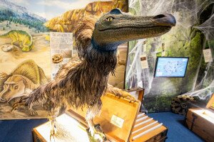 Hétmillió éves óriások és bizarr őslények nyomában a Pannon-tenger Múzeumban