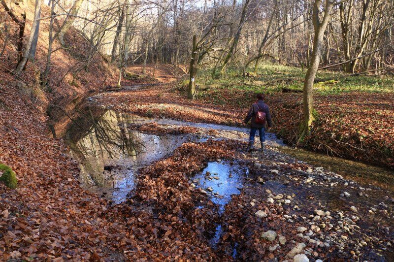 Hidasi-völgy, Mecsek