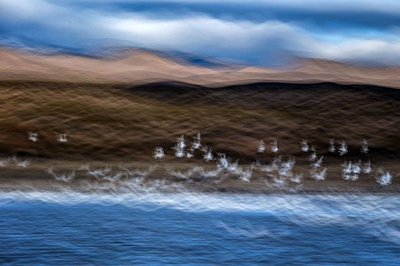 HIGHLY COMMENDED