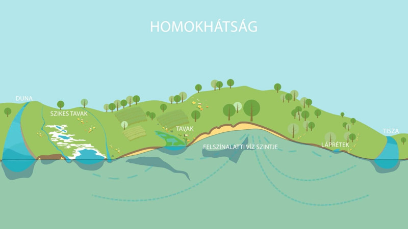 Homokhátság_egykori_felszín_alatti_vízrendszer_sémája