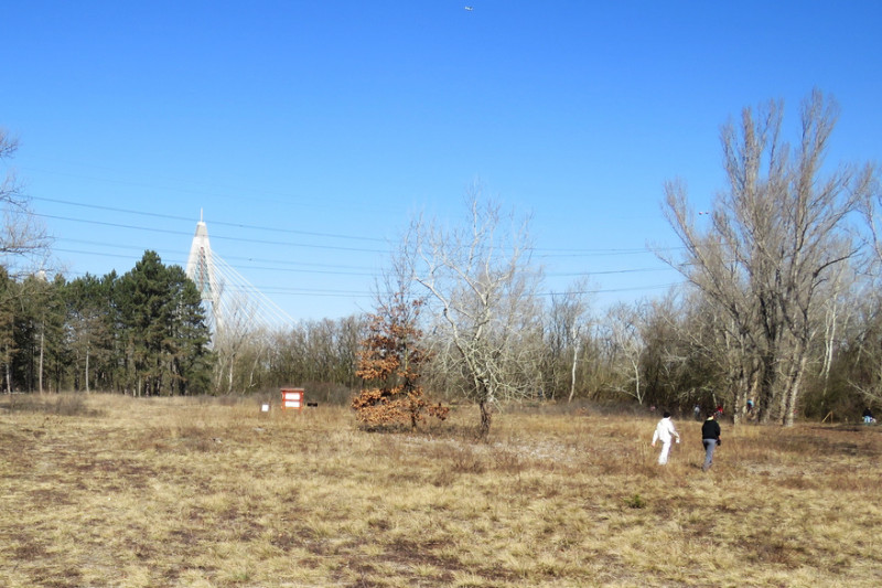 ht20150307_lendvai_csaba_004.jpg