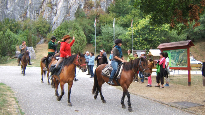 hucultura03.jpg
