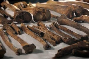 I. András csontjait is megtalálhatták a tihanyi királykriptában