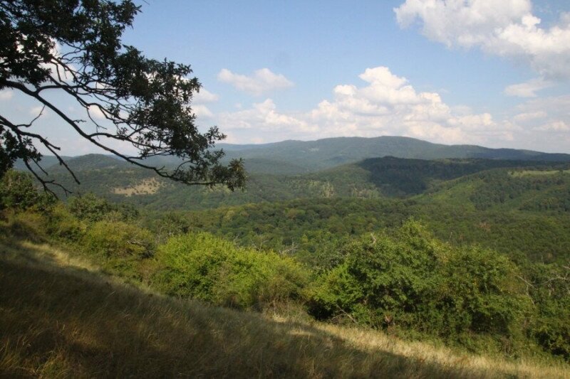 ic_large_w900h600q100_badi2019