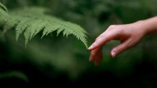 Ideje, hogy másképp nézzünk a növényekre