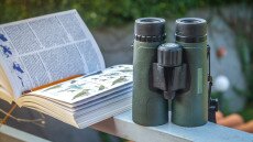 Idén is nagyon jól szerepelt Magyarország az Európai Madármegfigyelő Napokon