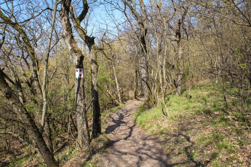 IMG_0138 pilisi várak mozgalom