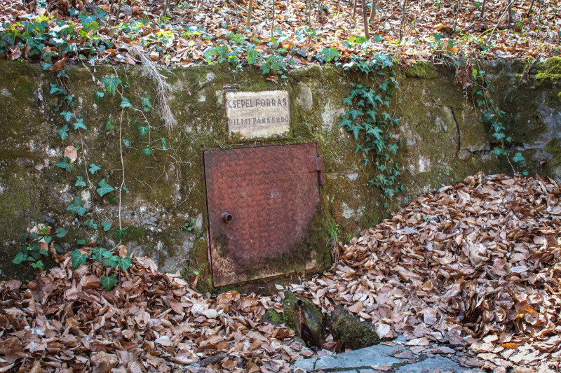 IMG_0152 csepel forrás