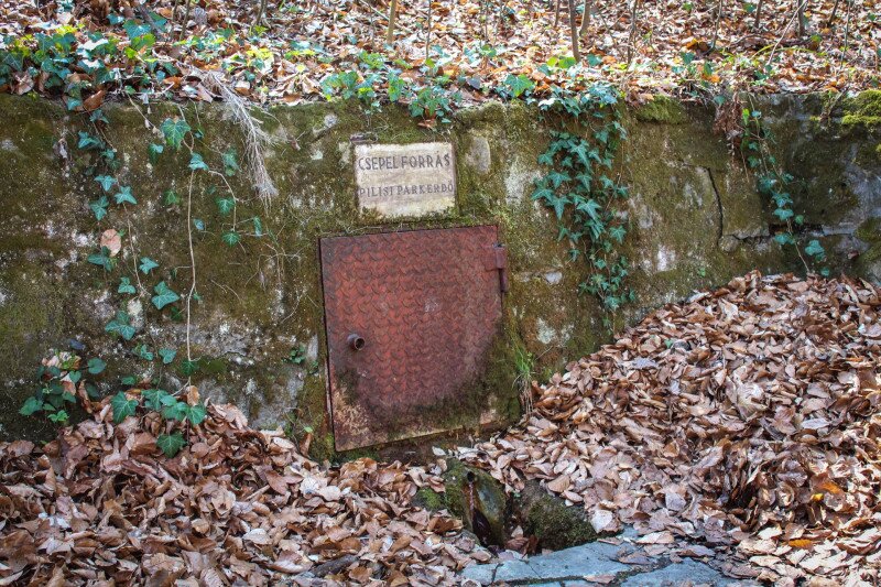 IMG_0152 csepel forrás