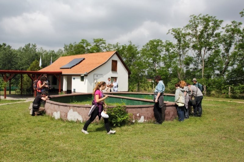 img-111-05134238
