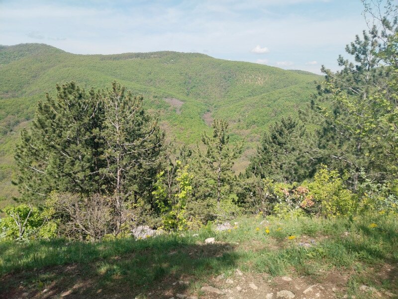 IMG_20230506_105021