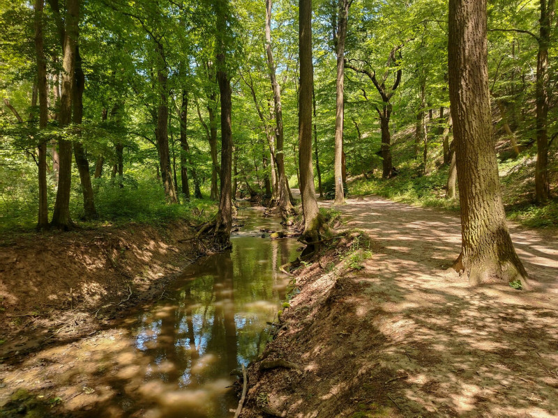 IMG_20250607_130426