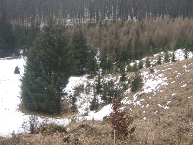 img_2174.jpg