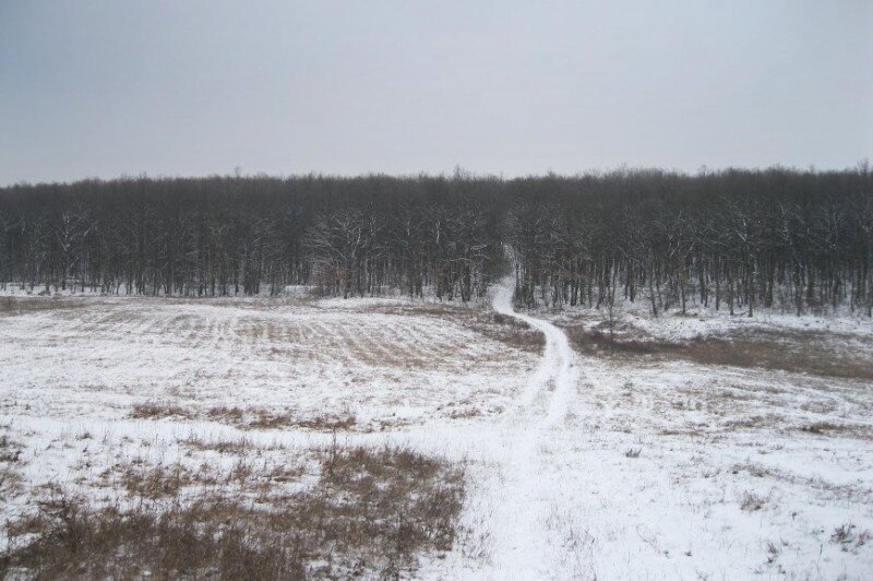 img_2651.jpg