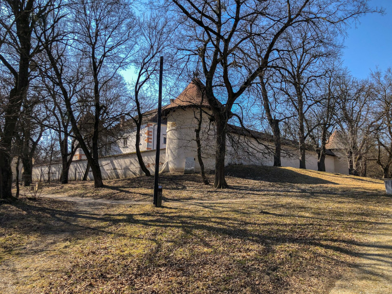 IMG_5951