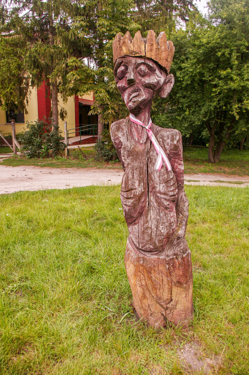 IMGP5341