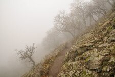Instant túra a ködös Visegrádi-hegységben