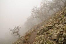Instant túra a ködös Visegrádi-hegységben