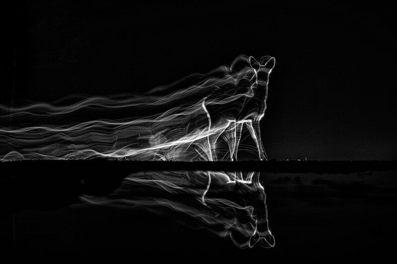 Irma_Szabo_B1_Night_walking