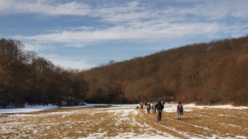 jan-21-22_099-2kk.jpg