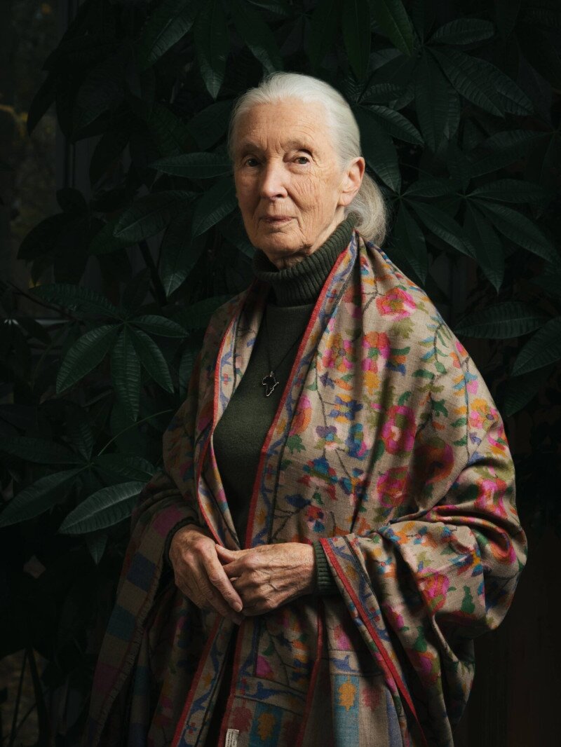 Jane Goodall 
