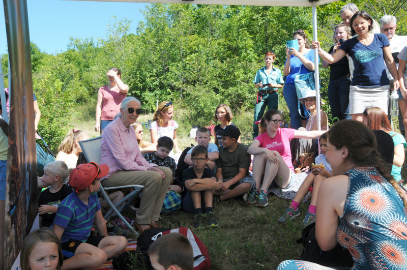 Jane Goodall a Sas-hegyen