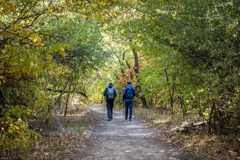 Jegenye-hegyen a Remete-szurdok felé