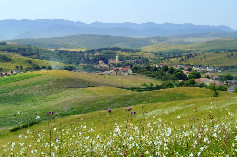 jul-10_037.jpg