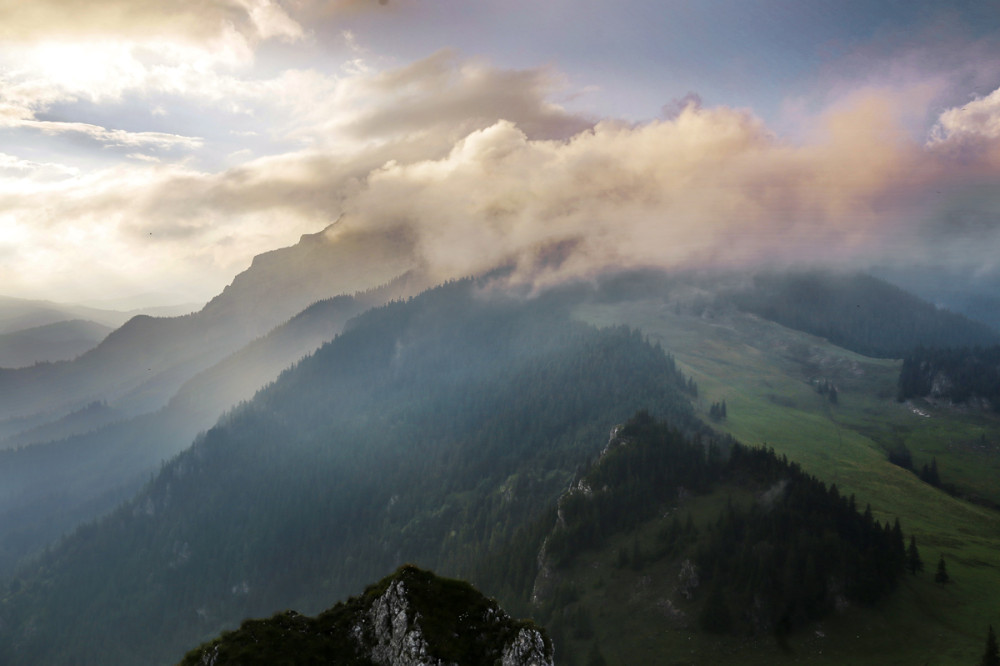jul-10-14_551-2.jpg