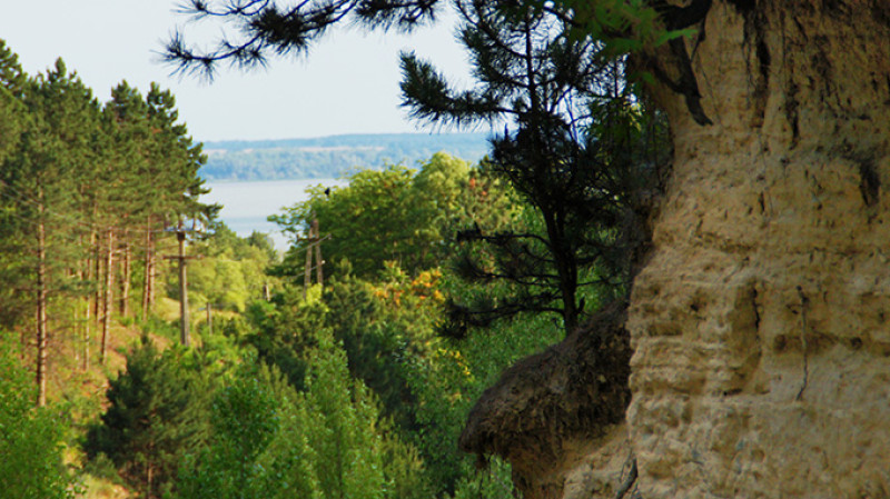 jul-1_142-2kk.jpg