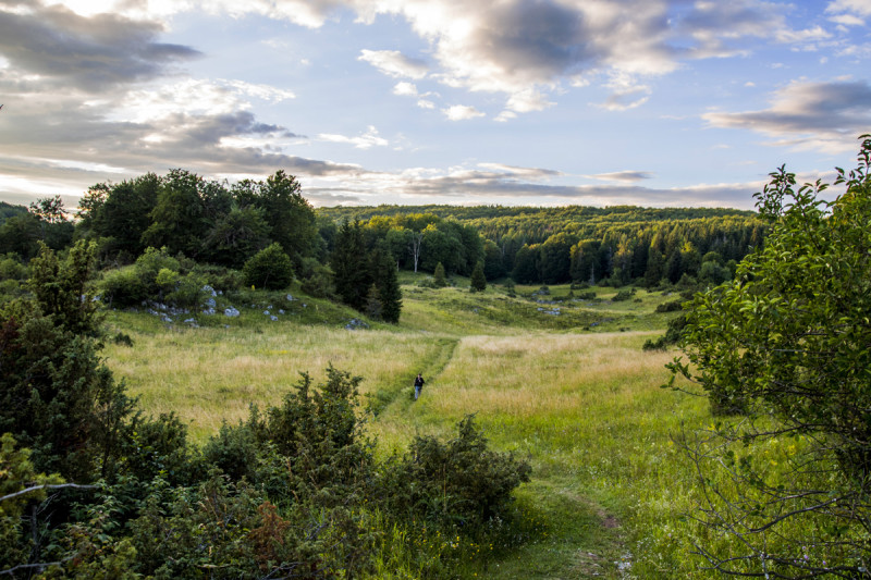 jul-14-15_055-3.jpg