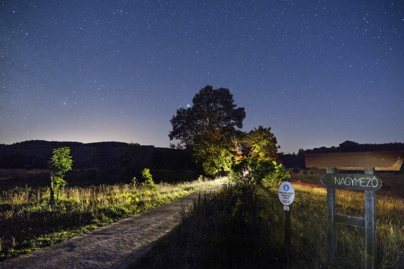 jul-15c_020-3.jpg
