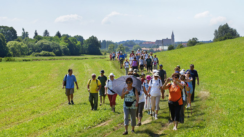 jul-16-19_379-2kk.jpg