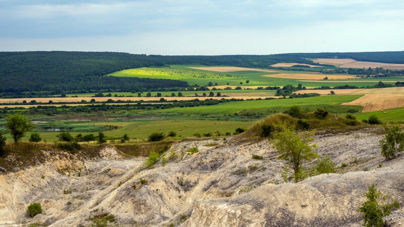 jul-9_006-2.jpg