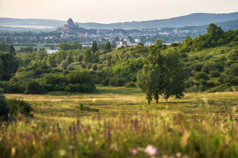 jun-20_093-2.jpg