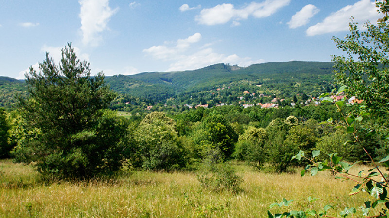 jun-20-23_440-2.jpg