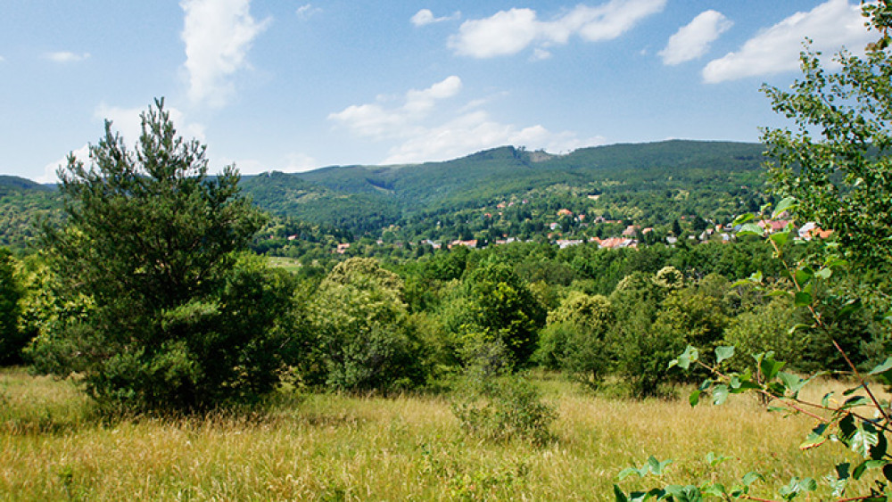 jun-20-23_440-2.jpg