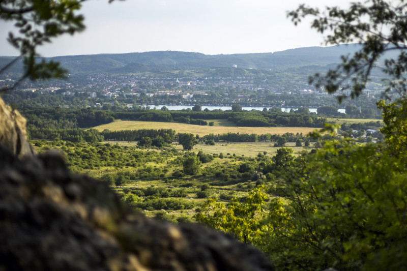 jun-20c_034-2.jpg