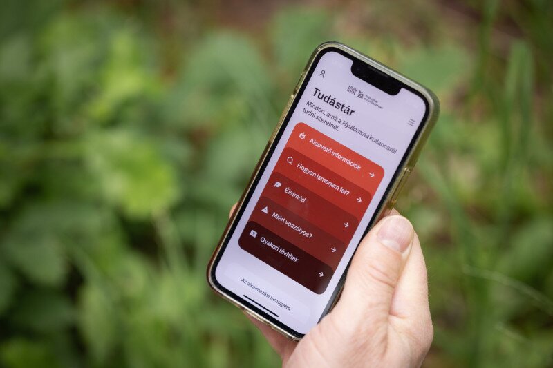 Kállai Márton PragmaTick app3