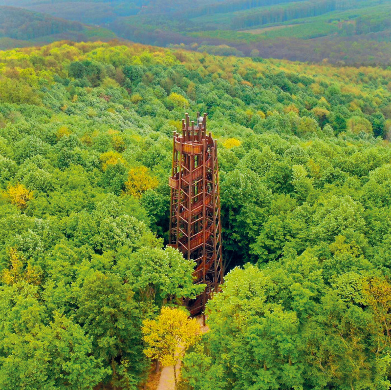 Kardosfai-kilátó