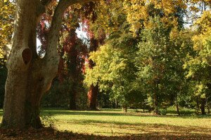 Kastélyparkok, ahol csodaszép az ősz