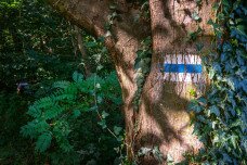 Kedvenc kéktúrás élményeink 2. rész