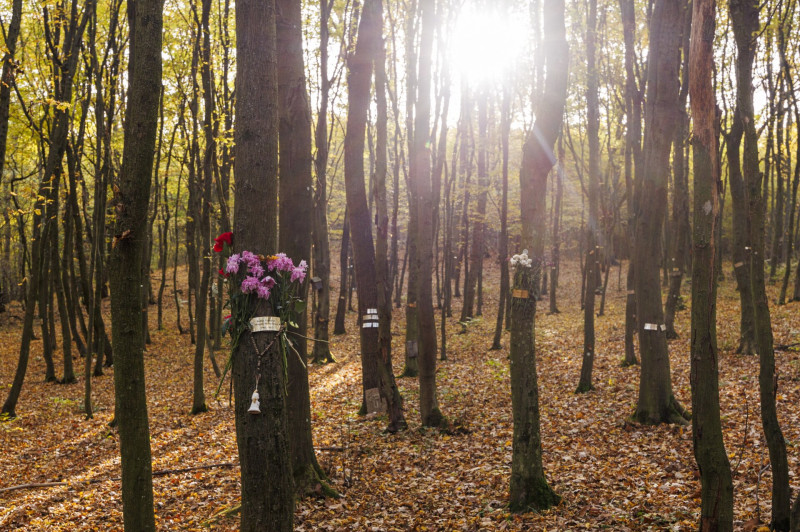 Kegyeleti erdő a Gerecsében