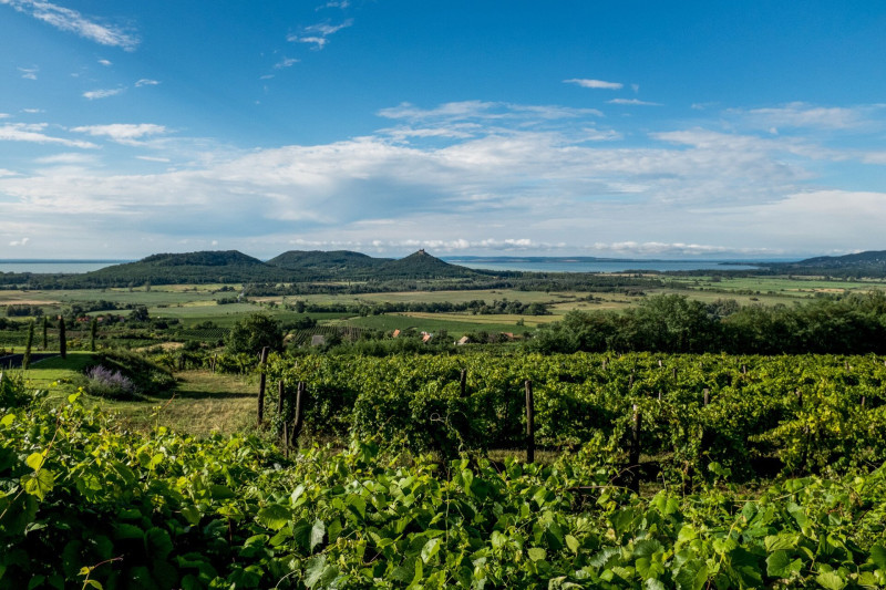 Kéktúra a Balaton-felvidéken