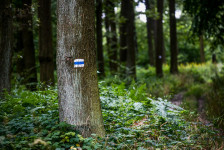 Kéktúrázás Fejér vármegyében