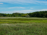 Kell-e pánikolni Budapest egyik legfontosabb természetvédelmi területe miatt?