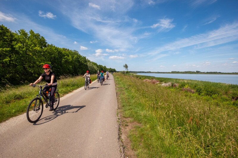 Kerékpárosok a Tisza-tónál