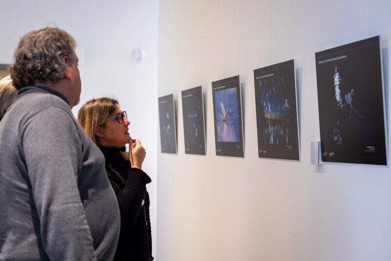 Kiállítás a Kérész Központban