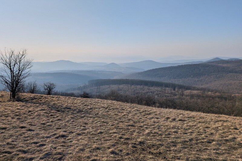  Kilátás a Nagy-Koppány dél felé nyitott csúcsáról